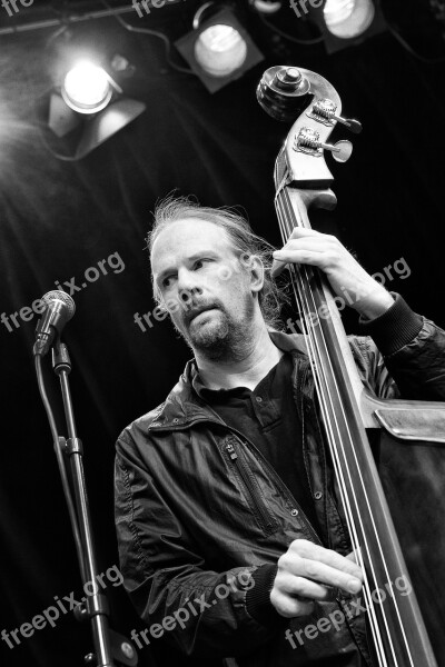 Anders Johansson Jazz Playing Bass Musician