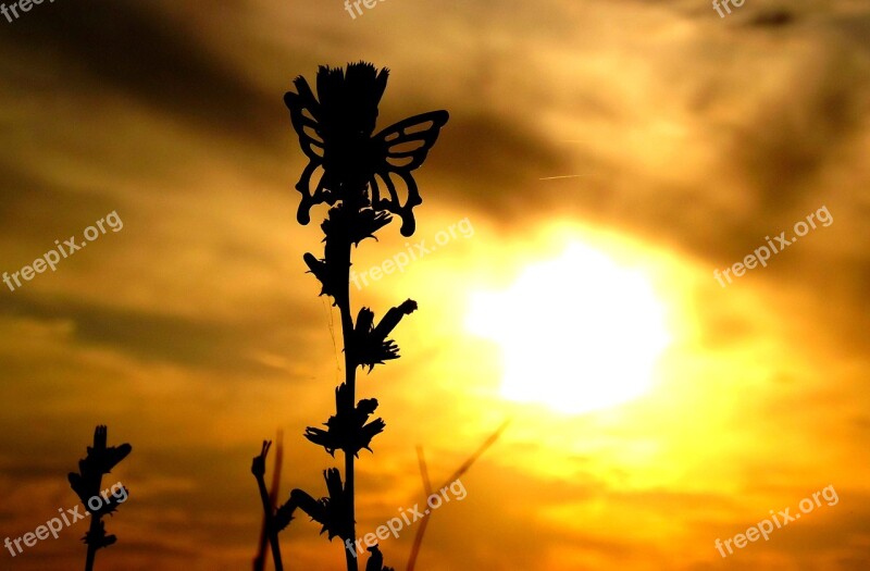 Butterflies East Sky Red Silhouette