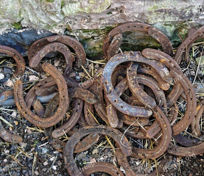 Horse Shoes Rusty Horse Horseshoe Luck