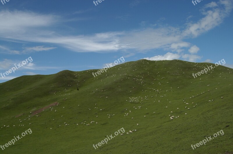 Blue Sky And White Clouds Mountain The Flock Views Grassland