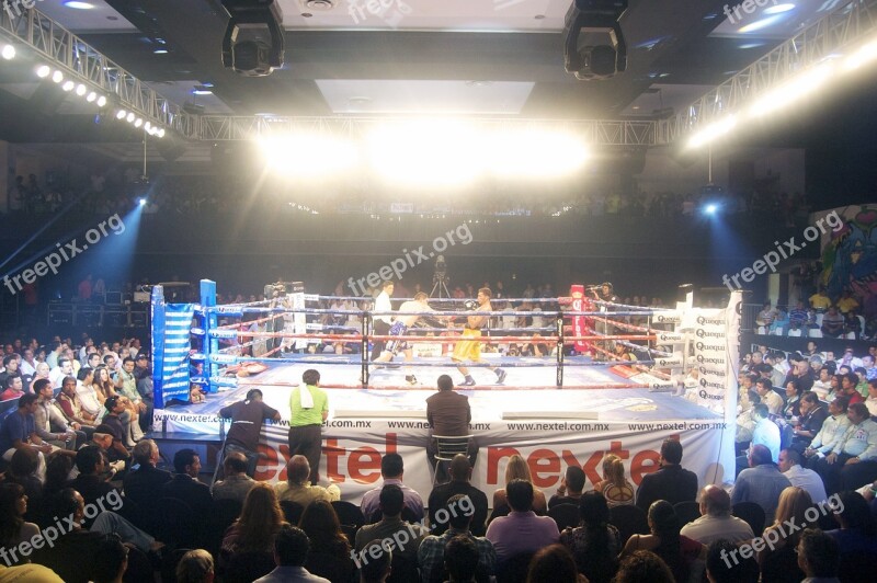 Box Sport Cancún Boxing Boxer