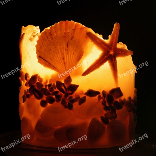 Candle Shells Candlelight Relax Luxury