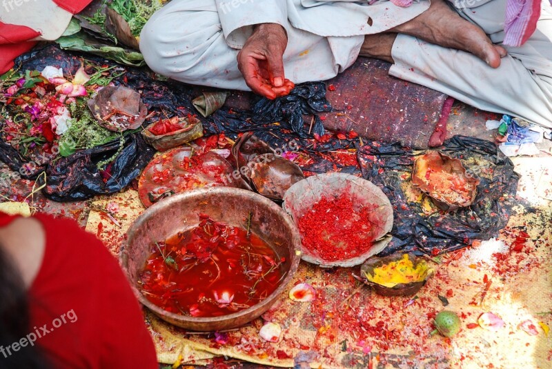 Nepal Hands Colors Temple Free Photos