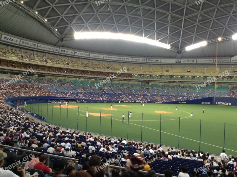 Baseball Game Watch Support Fan