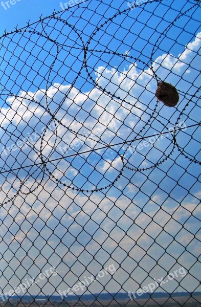 Weaver's Nest Fence Nest Weaver Sky