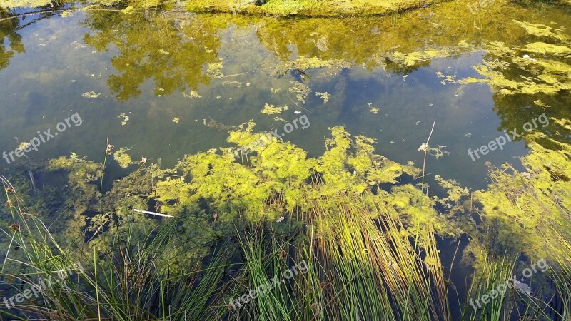 Pools Lake Pond Water Nature