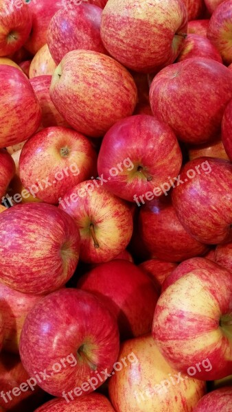 Apple Red Fruit Healthy Vitamins