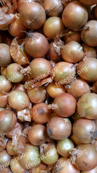 Onion Vegetables Nature Healthy Food