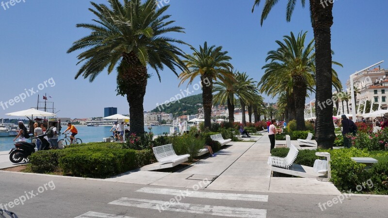 Split Beach Promenade Palms Free Photos