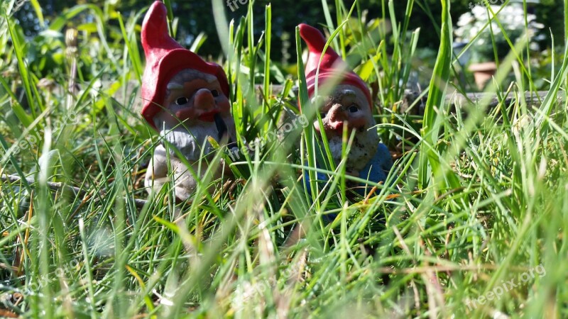 Dwarfs Meadow Garden Cute Funny