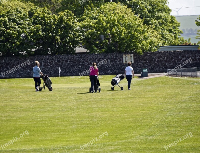 Golf Golfer Sport Club Ball