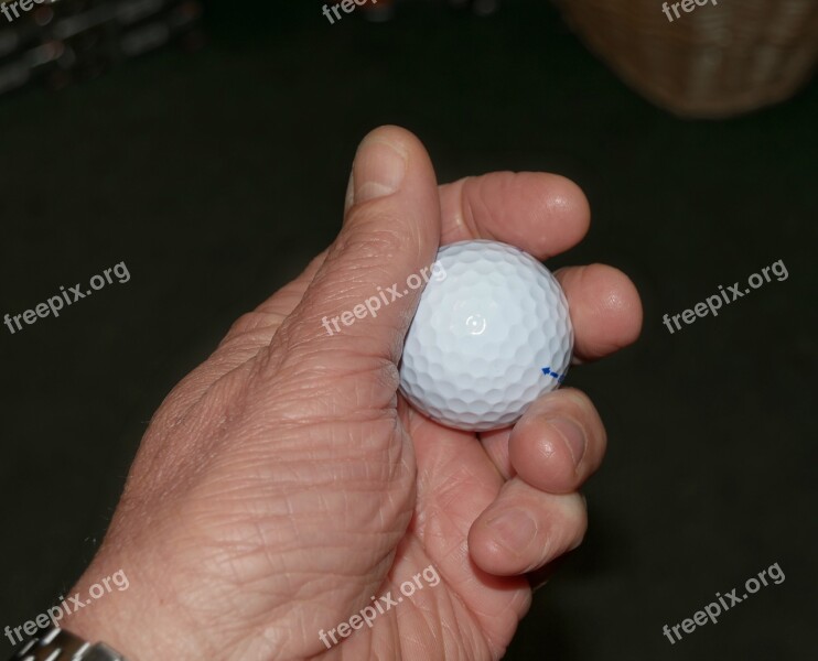 Golf Golf Ball Ball Hand Holding