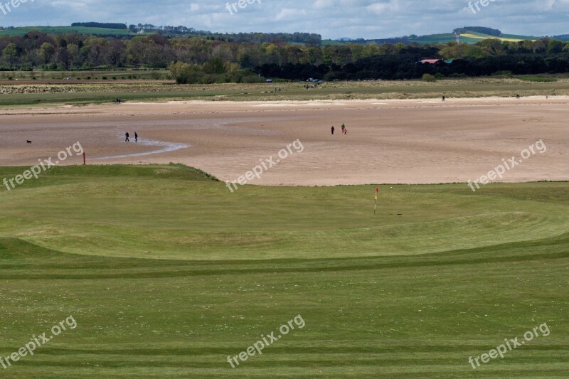 Golf Golf Course Green Course Grass