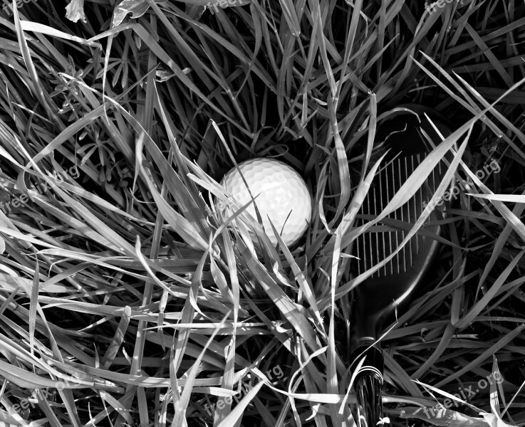 Golf Golf Ball Rough Grass Black And White