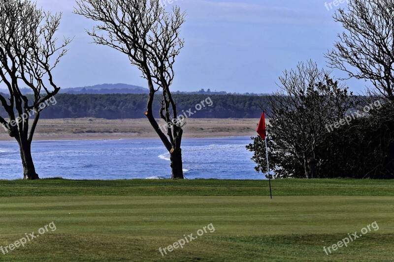 Golf Golf Course Green Course Grass