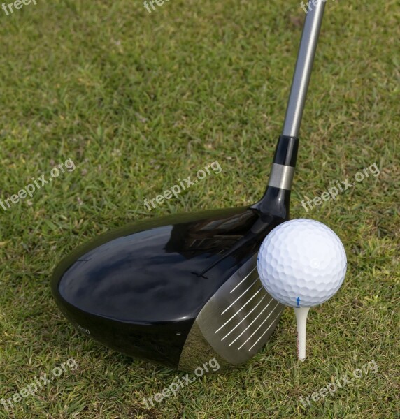 Golf Ball Golf Ball Golf Club Grass