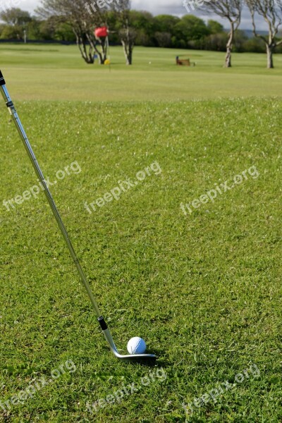 Golf Ball Golf Ball Golf Club Grass