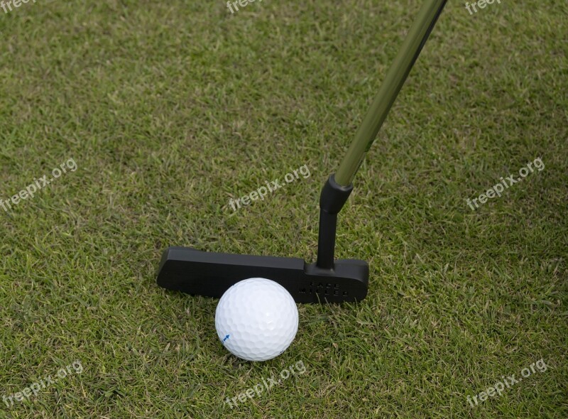 Golf Ball Golf Ball Golf Club Grass