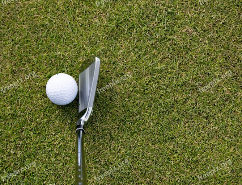 Golf Ball Golf Ball Golf Club Grass