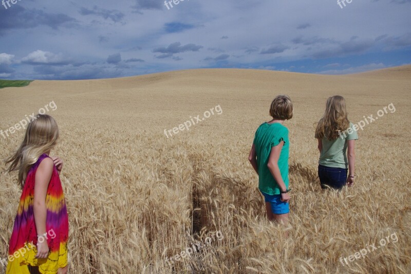 Girls Wheat Field Golden Landscape