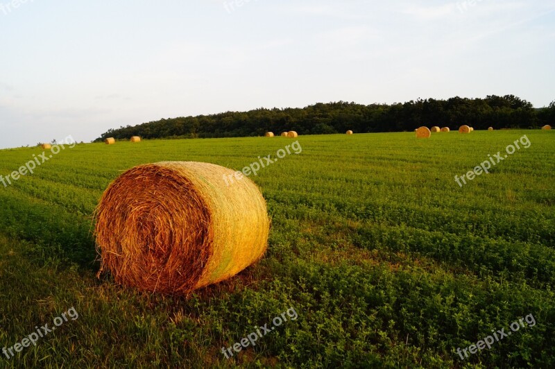 Straw Bale Field Meadow Agriculture Summer