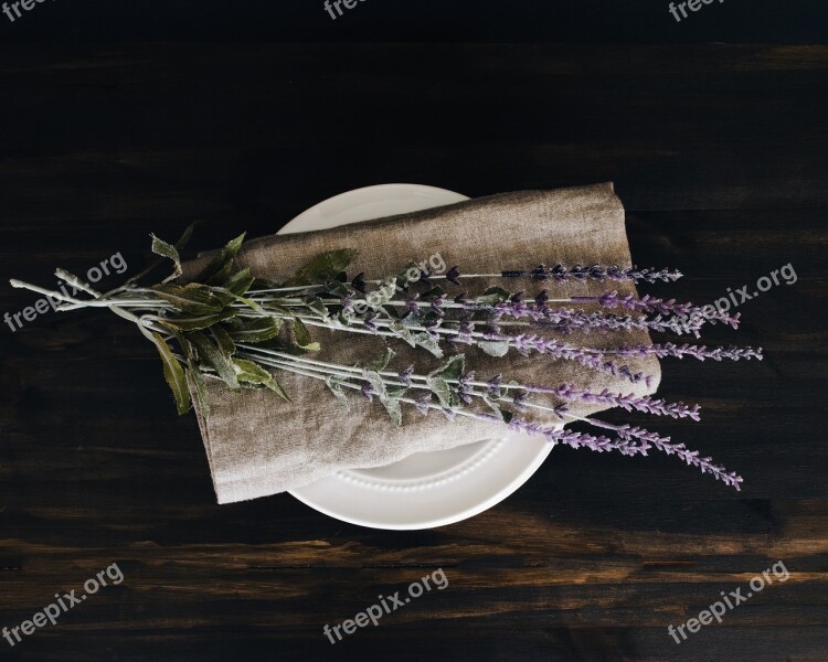 Table Wooden Morning Lifestyle Flower