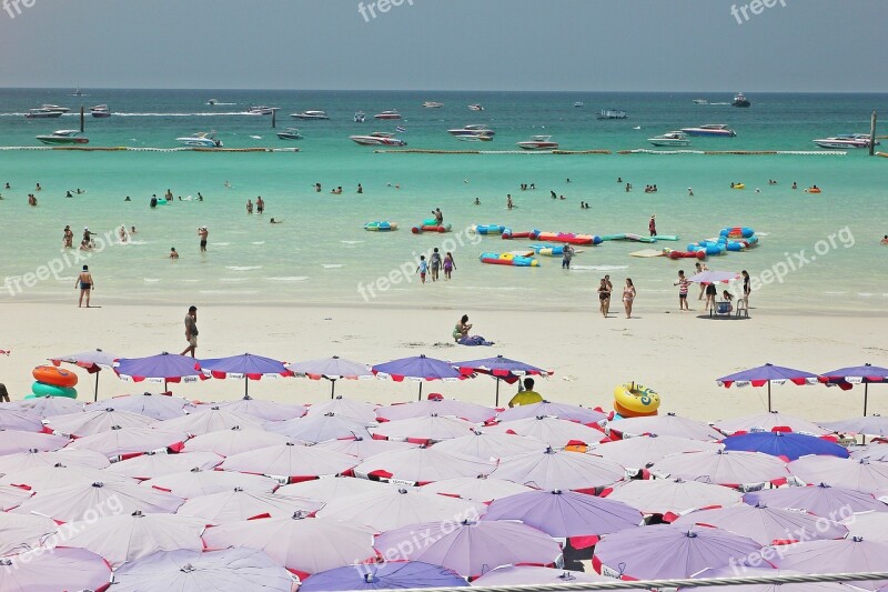 Coral Island Thailand Coral Island Thailand Free Photos