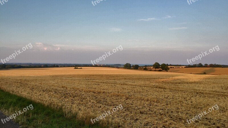 Field Wheat Field Harvest Free Photos