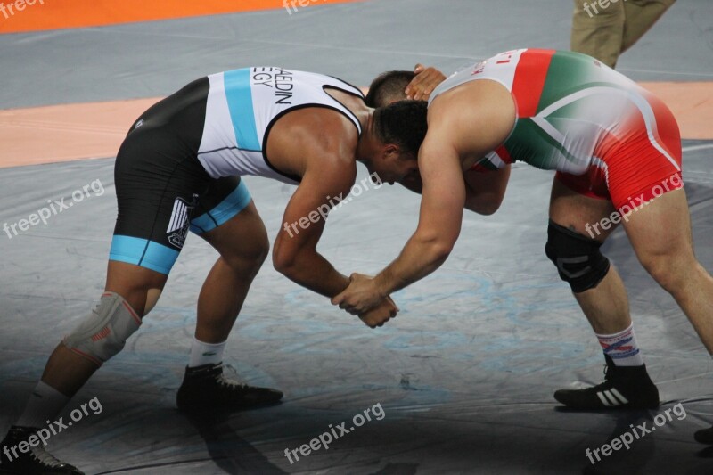 Martial Arts Wrestle Olympiad Brazil 2016