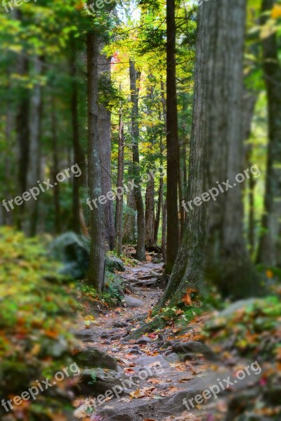 Smokey Mountains Hiking Fall Trees Landscape