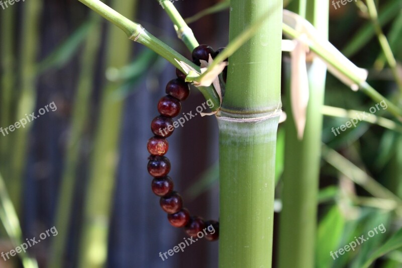 Bamboo Mala Meditation Bracelet Zen