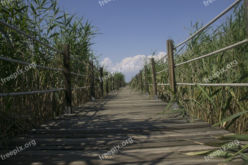 Sultan Marshes Kayseri Erciyes Nature Landscape