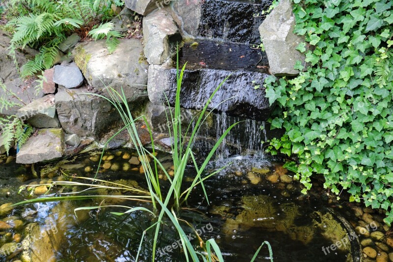 Garden Pond Water Aquatic Plant Plant Waterfall