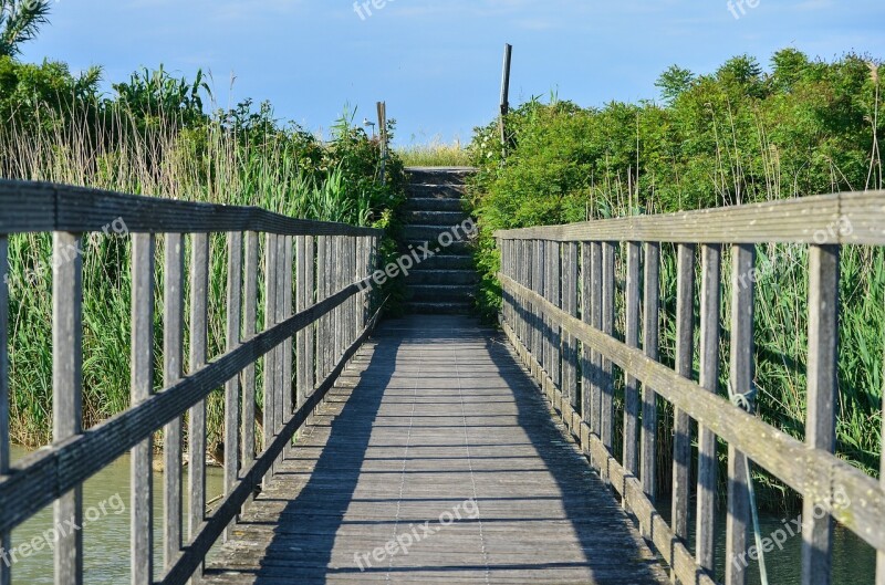 Web Boardwalk Bridge Wooden Bridge Free Photos