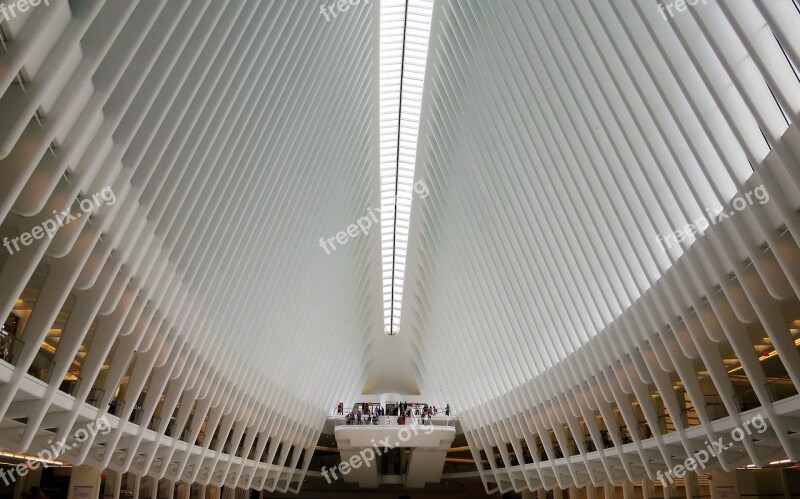 Oculus Manhattan Usa Architecture Railway Station