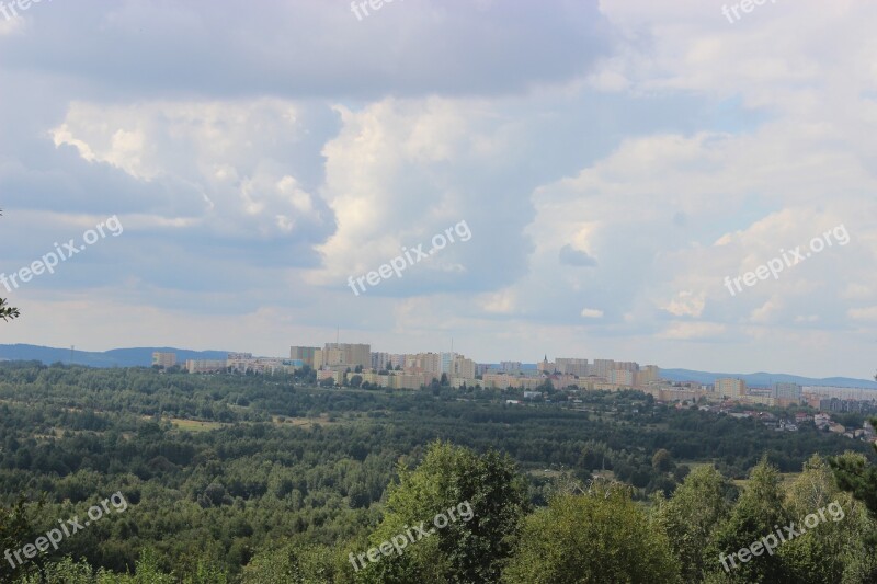 Panorama Forest Landscape Tree Summer