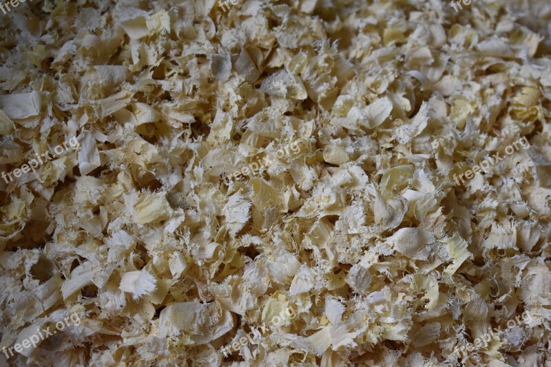 Texture Sawdust Chips Wood Free Photos