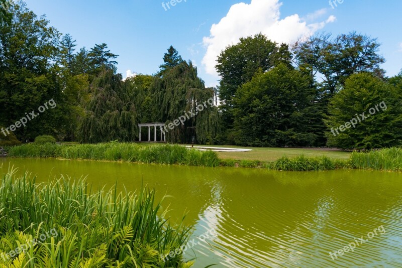 Planting Fields Foliage Estate Trees Pond