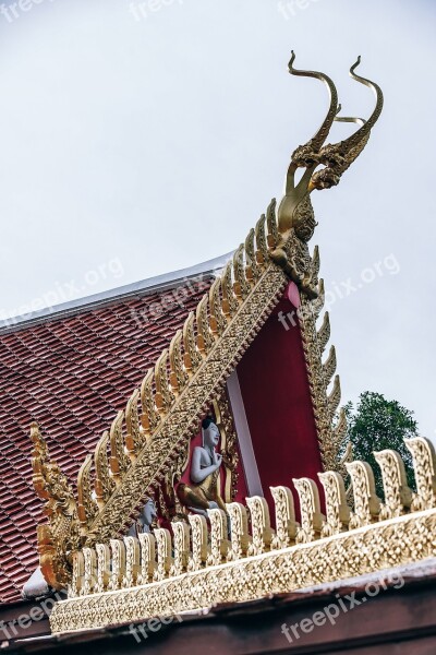 Apex Architecture Beautiful Brass Buddha