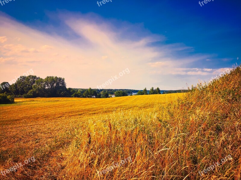 Field Mecklenburg Vorpommern Landscape Nature Summer