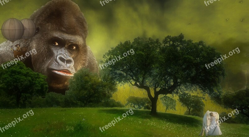 Fantasy Gorilla Composing Photomontage Woman