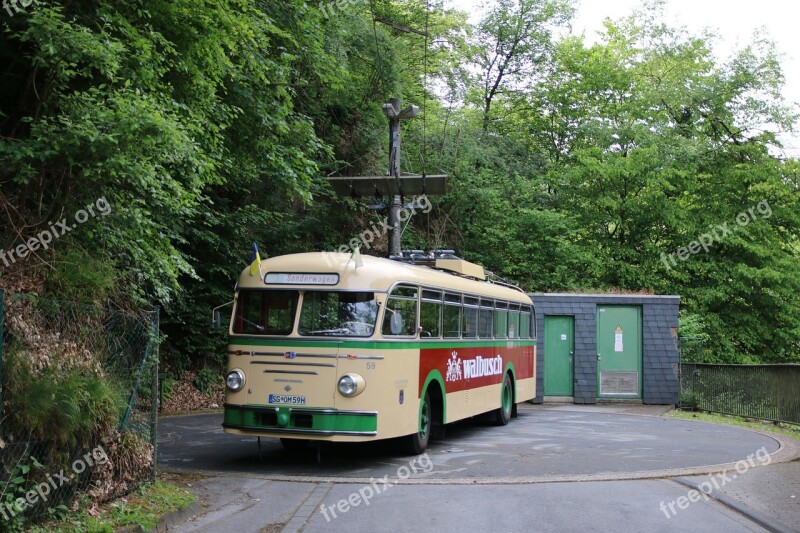 Trackless Trolley Trolley Bus Transport Trolley City Bus Service