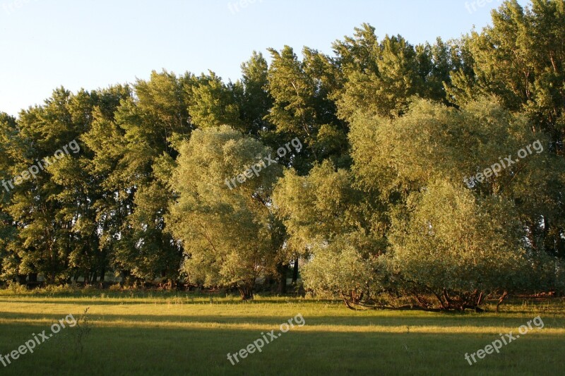 Nature Summer Vacation Grass Glade