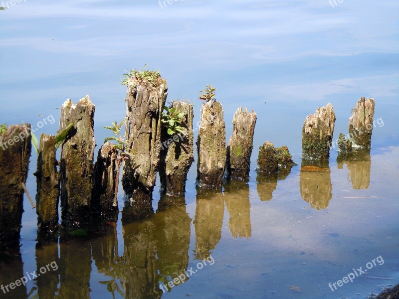 Water Piles Nature Free Photos