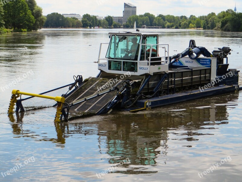 Lake Boat Seaweed Ship Nuremberg