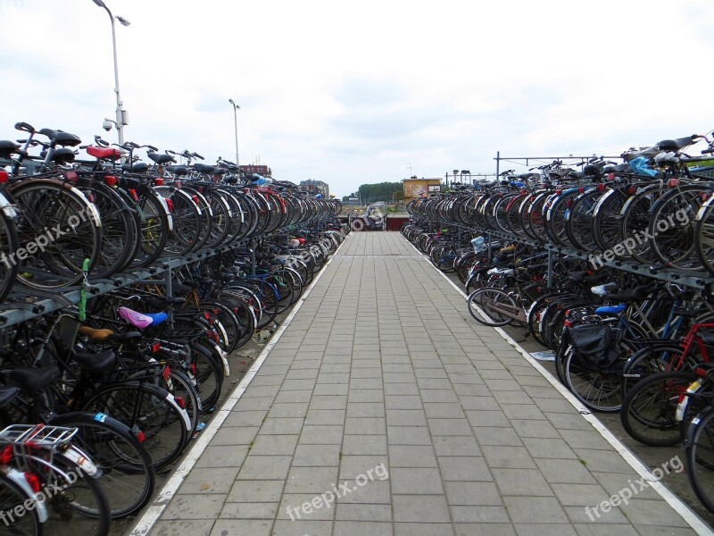 Bicycle Rack Delft Holland Bikes