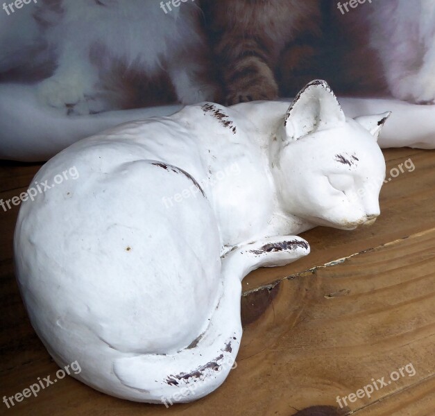 Sleeping Cat Painted Clay Outdoors Garden Ornament Free Photos