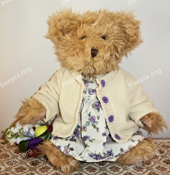 Teddy Bear Cuddly Clothed Flower Basket Free Photos