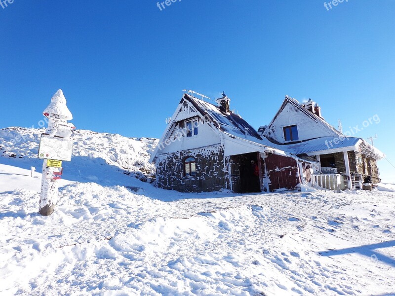 Winter Forest Snow Frost Landscape