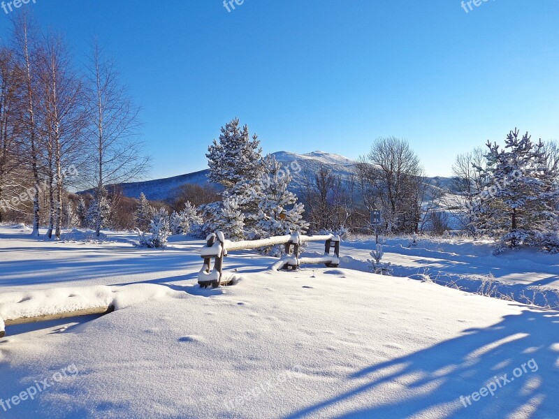 Winter Forest Snow Frost Landscape